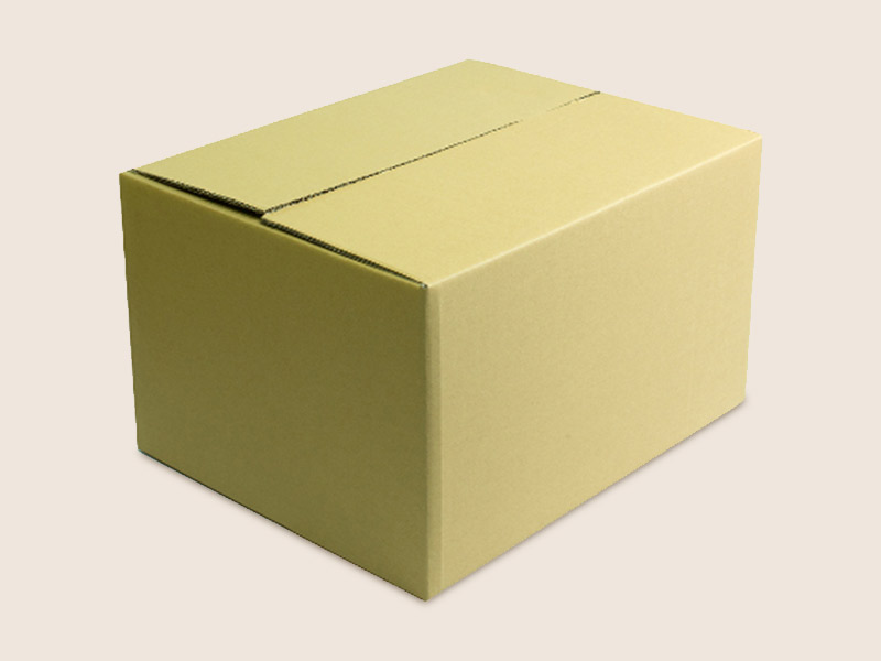 carton box manufacturer and supplies Ipoh